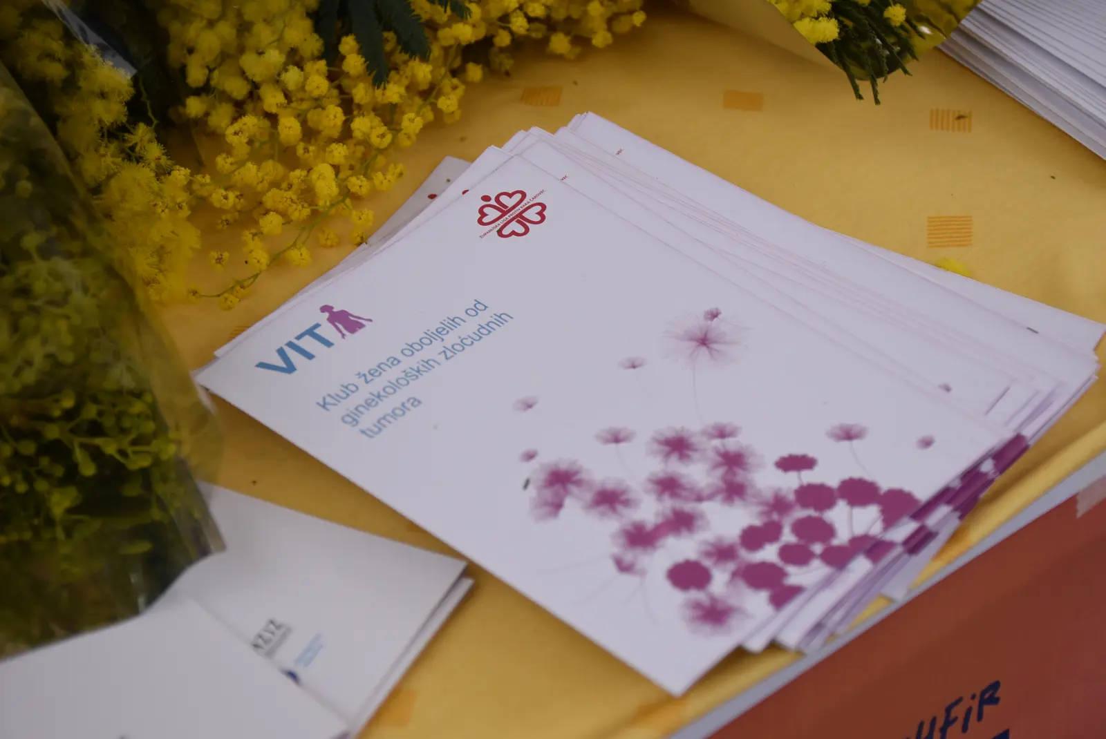 Dan mimoza, rak, oboljeli, Liga oboljelih (4)