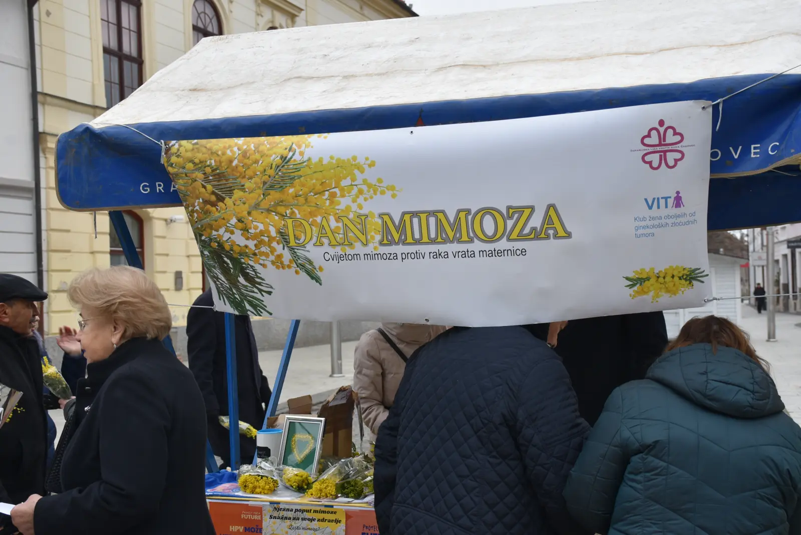 Dan mimoza, rak, oboljeli, Liga oboljelih (8)