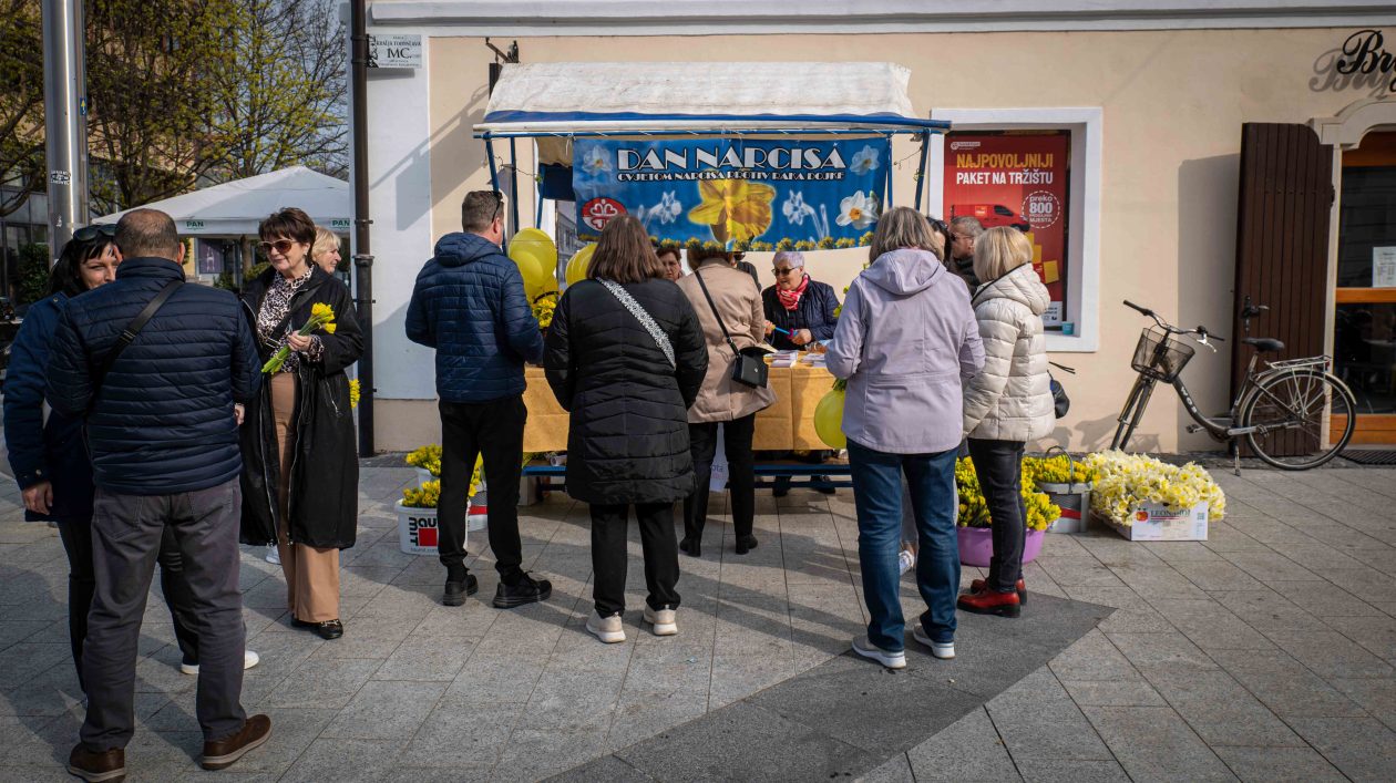 Dan narcisa 2026-1 Dan narcisa 2026-1