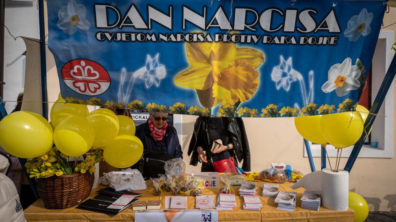 Dan narcisa 2026-13 Dan narcisa 2026-13