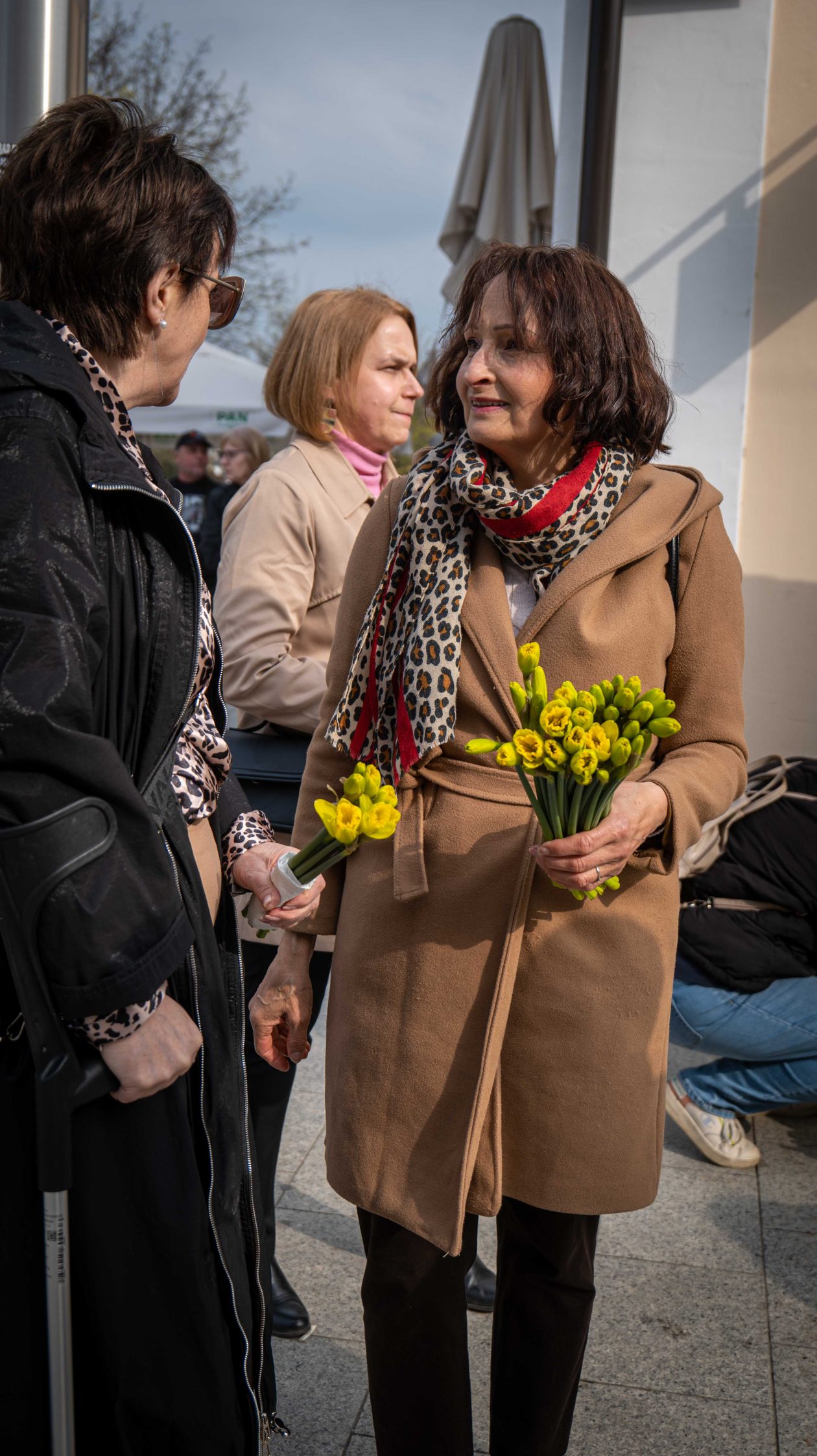 Dan narcisa 2026-14 Dan narcisa 2026-14