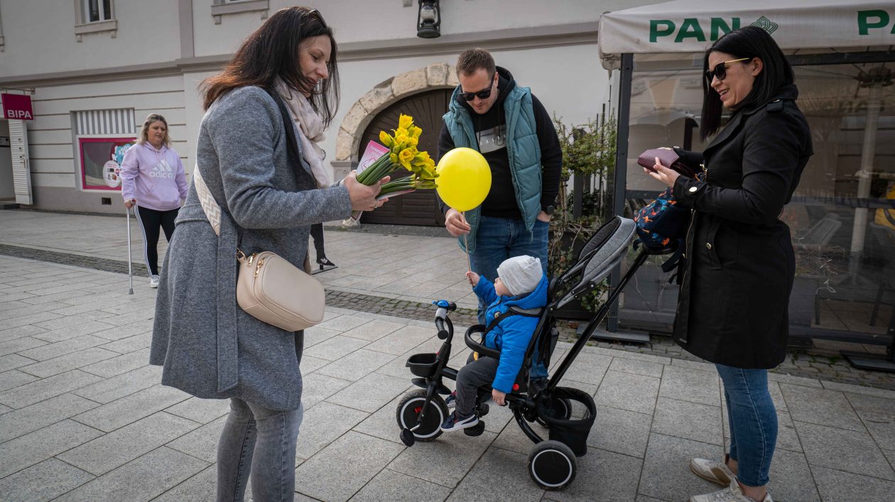 Dan narcisa 2026-16 Dan narcisa 2026-16