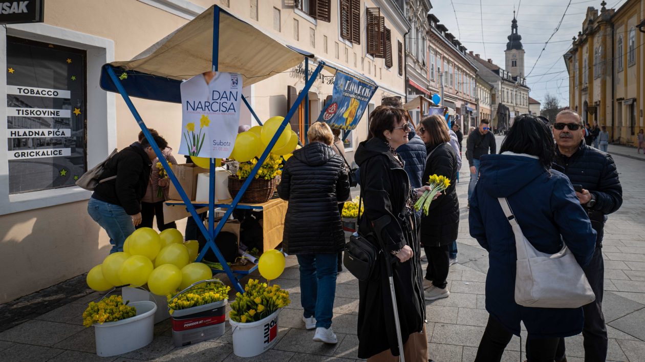 Dan narcisa 2026-2 Dan narcisa 2026-2