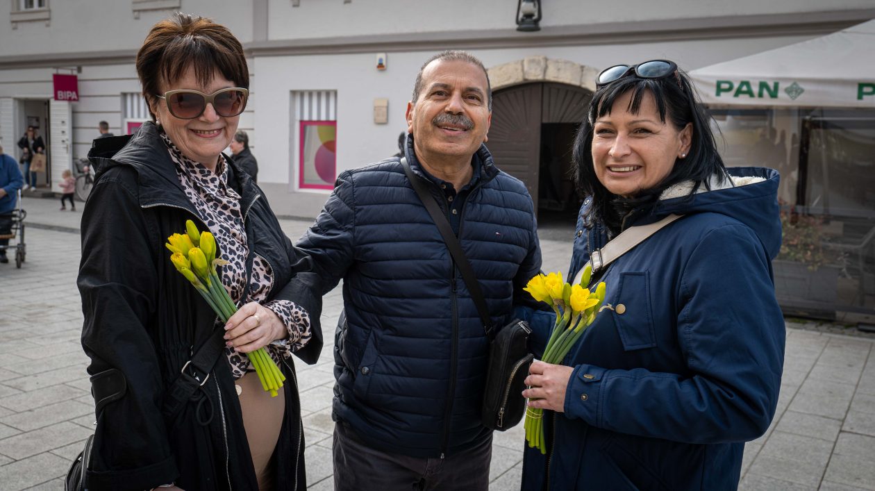 Dan narcisa 2026-4 Dan narcisa 2026-4