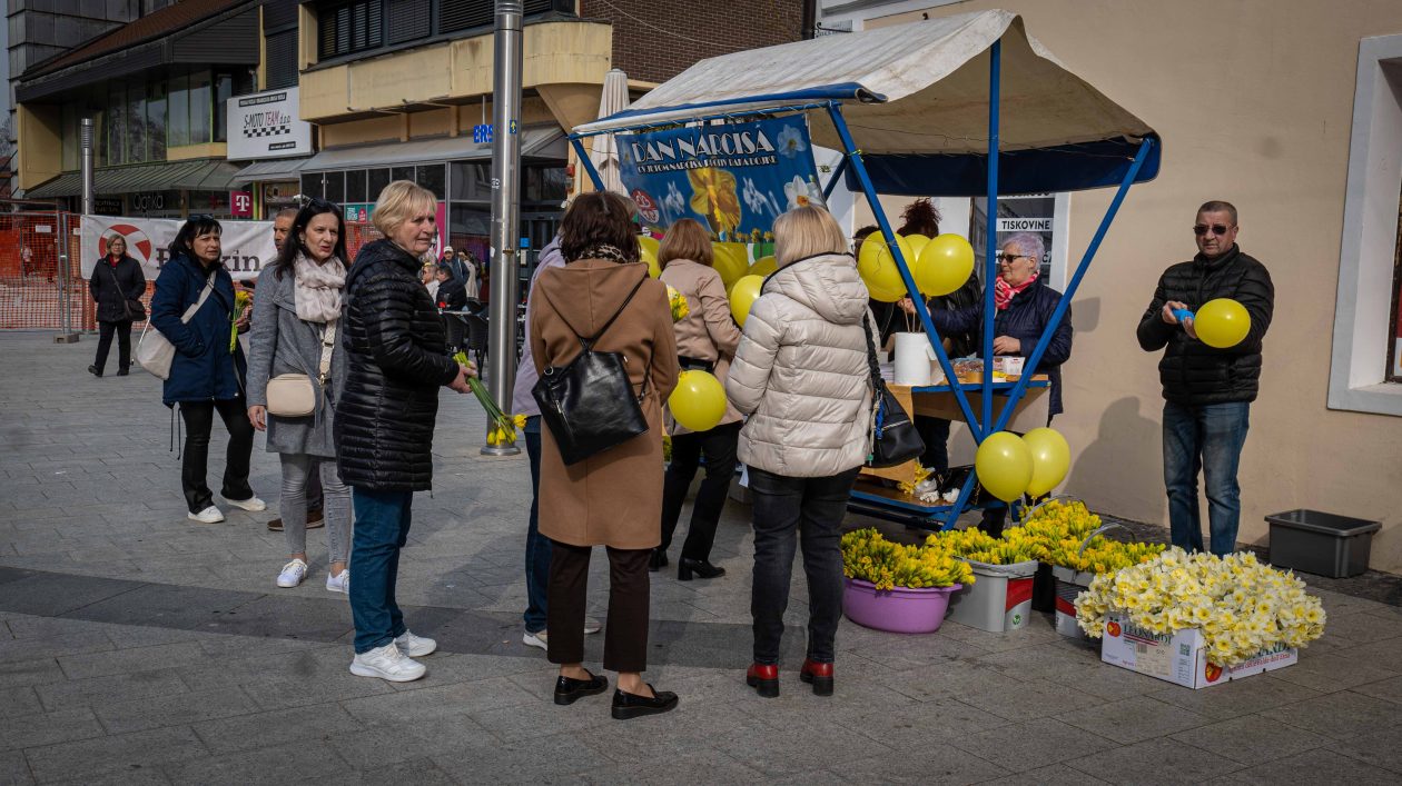 Dan narcisa 2026-8 Dan narcisa 2026-8