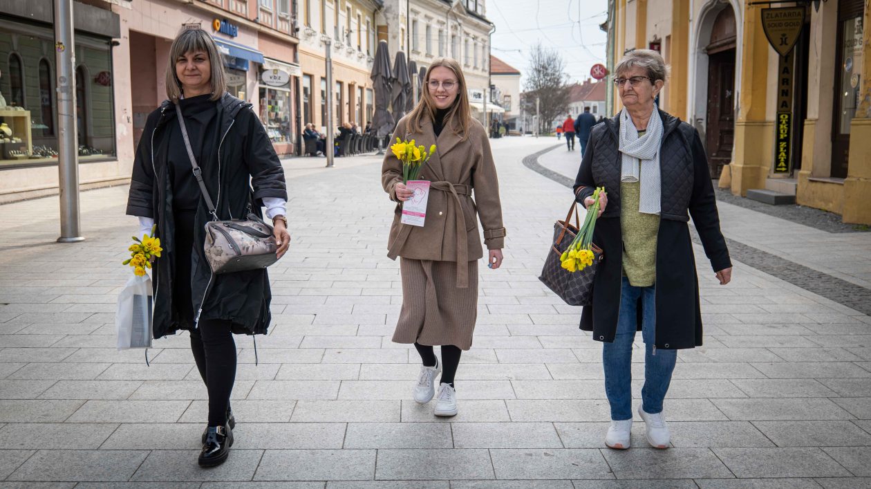 Dan narcisa 2026-9 Dan narcisa 2026-9