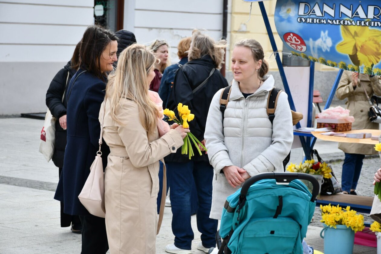 Dan narcisa Čakovec 2025 (1) Dan narcisa Čakovec 2025 (1)