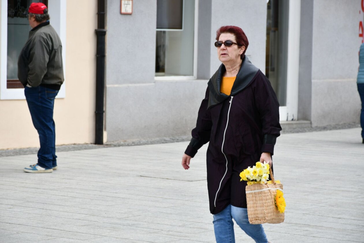 Dan narcisa Čakovec 2025 (22) Dan narcisa Čakovec 2025 (22)