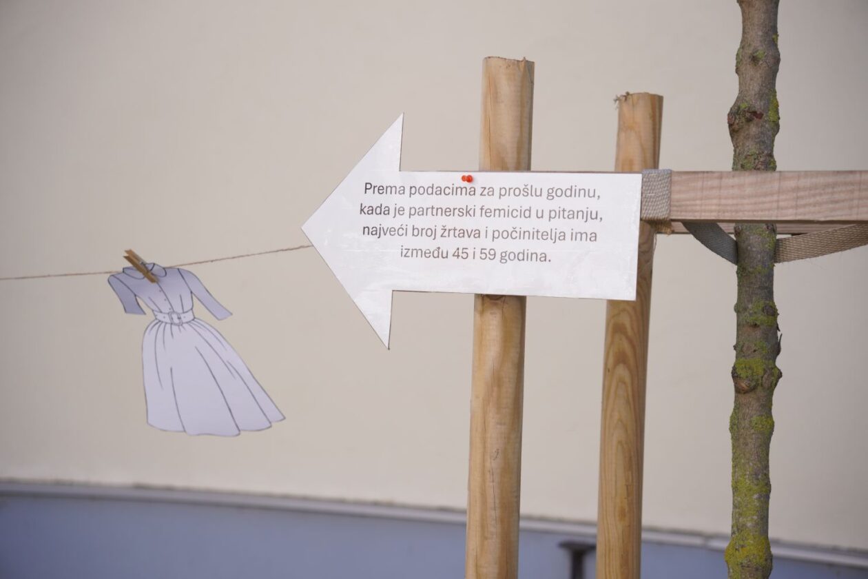 Dan nasilja nad (16)