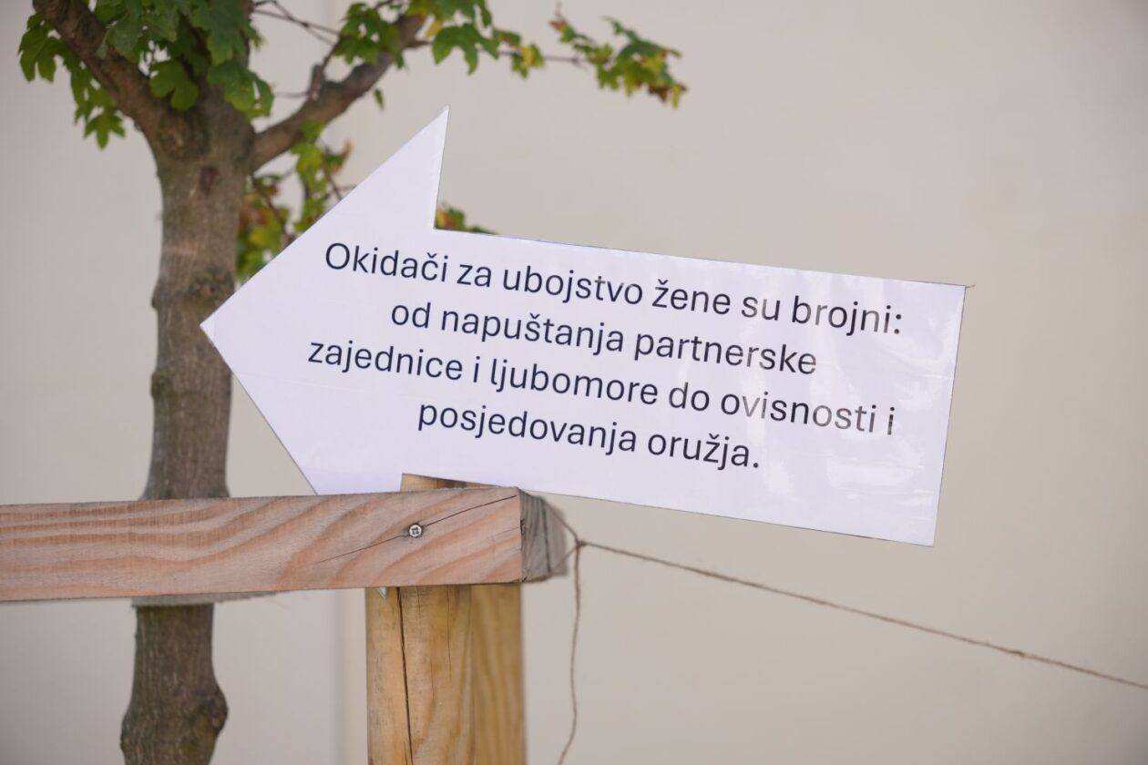 Dan nasilja nad (17)