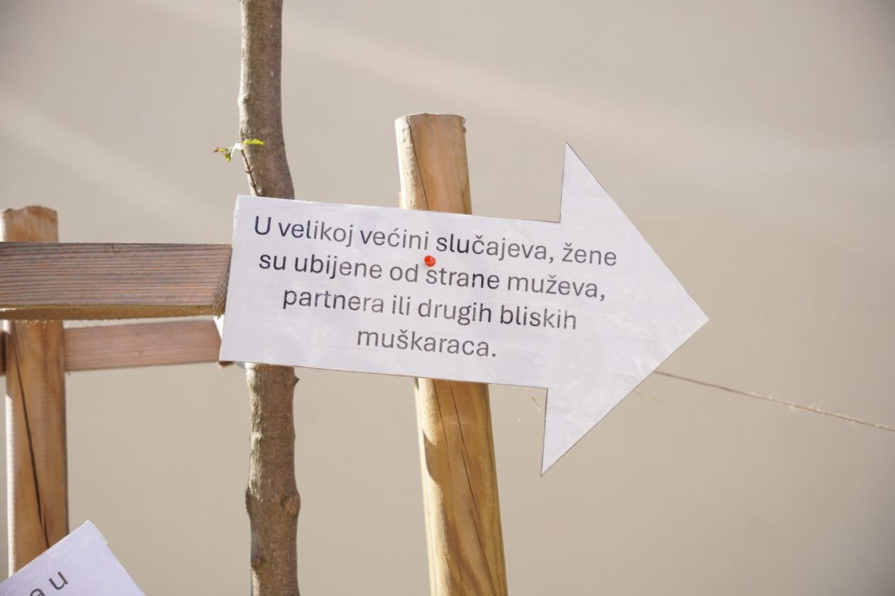 Dan nasilja nad (20)