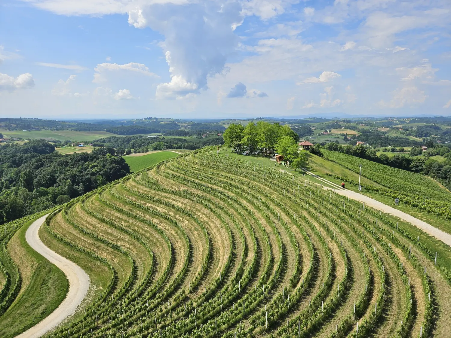 Dan nepušenja, Štrigova (35) Dan nepušenja, Štrigova (35)