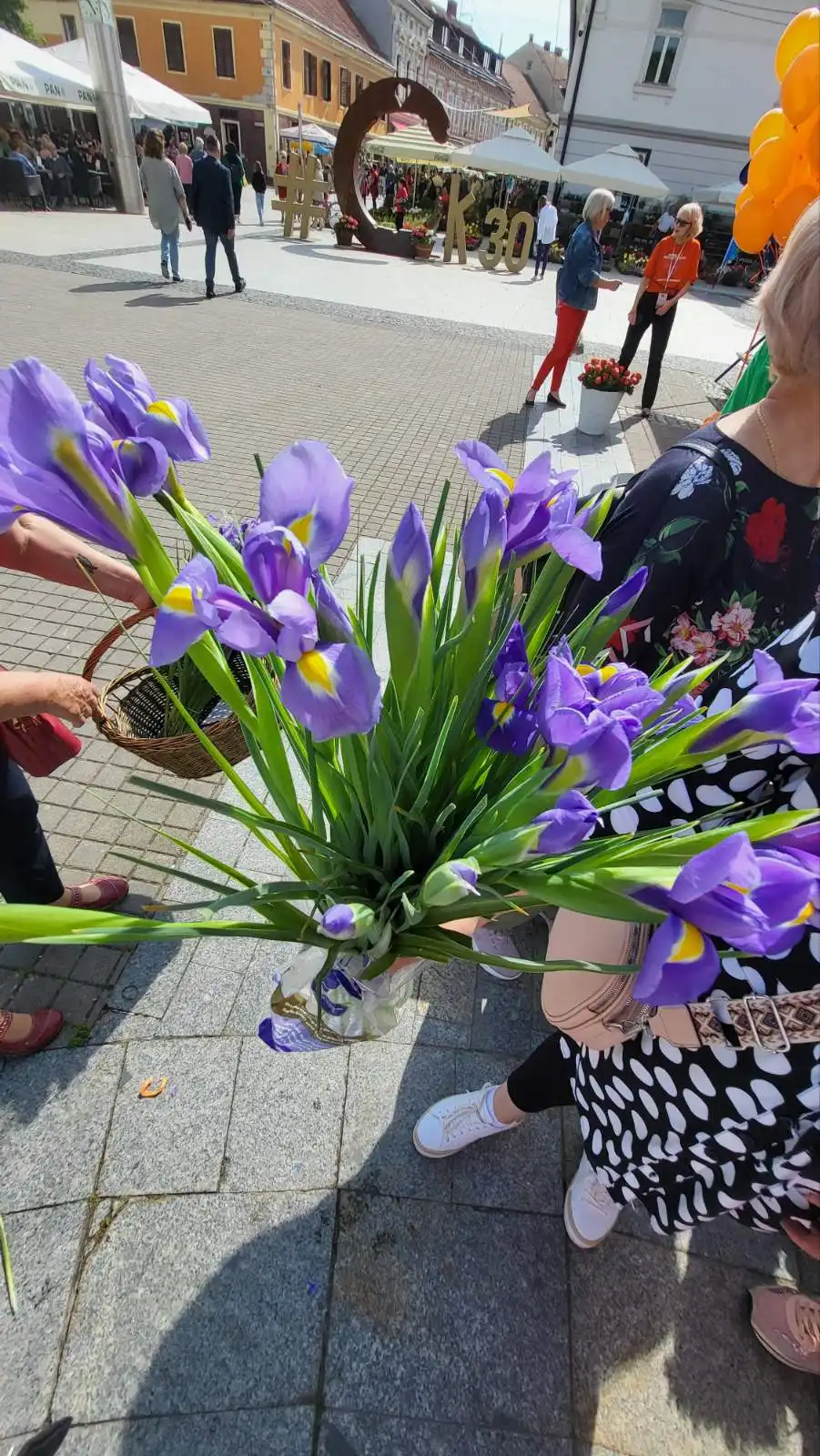 Dan plave vrpce 2024 (4) Dan plave vrpce 2024 (4)