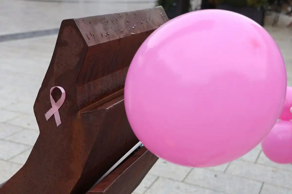 Dan ružičaste vrpce (14)