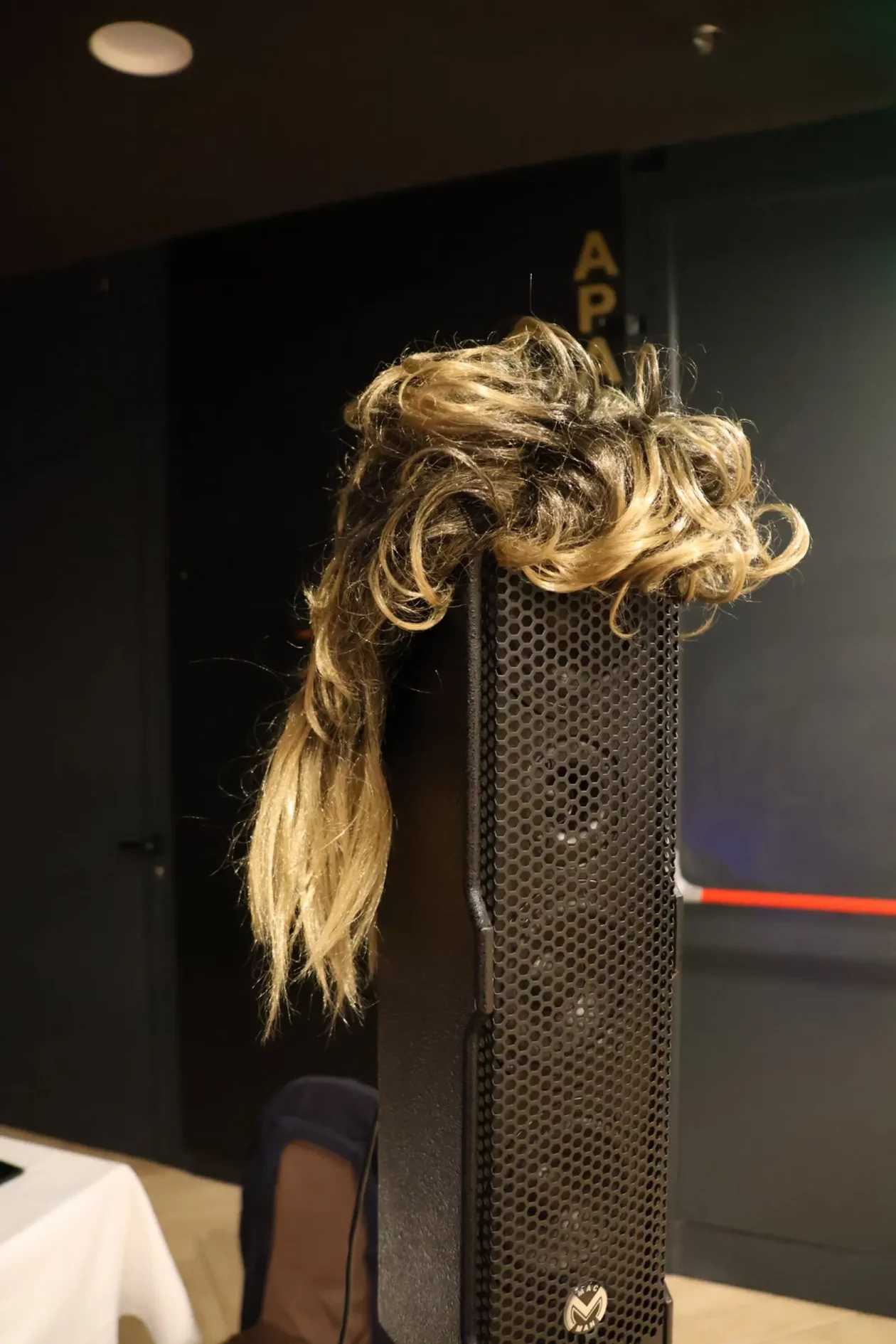 Dan žena Prelog 2026 Društvo žena Sveta Marija (79)
