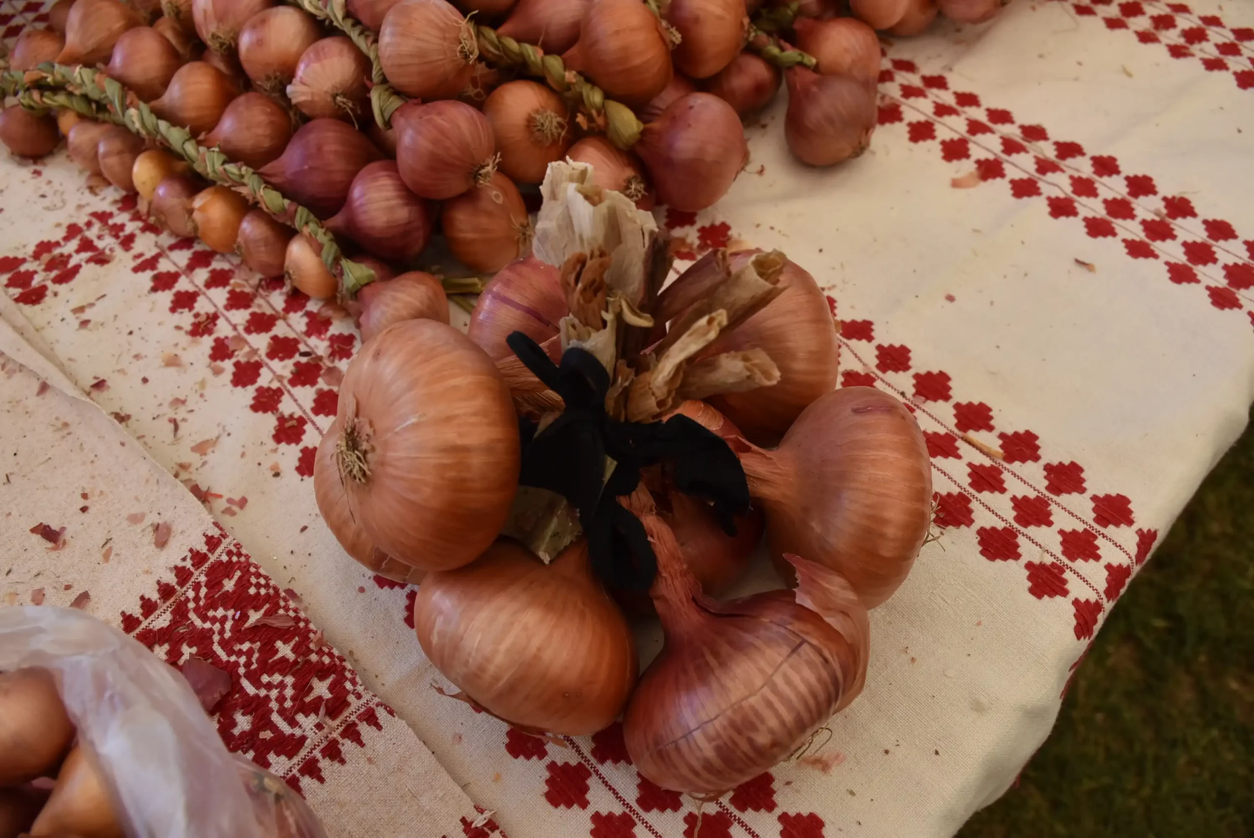 Dani Dobravskog ljuka 2024 (5)