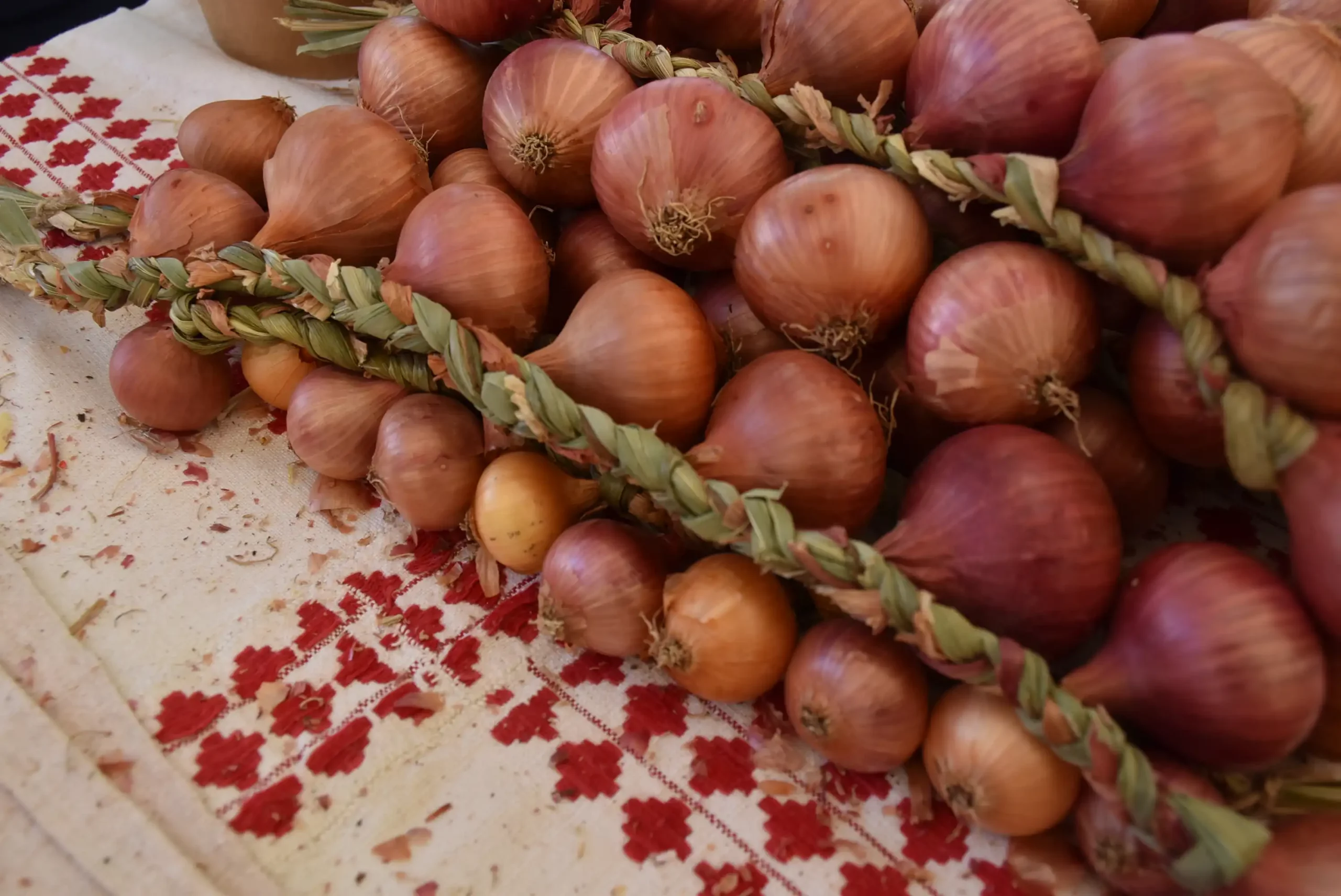 Dani Dobravskog ljuka 2024 (6)