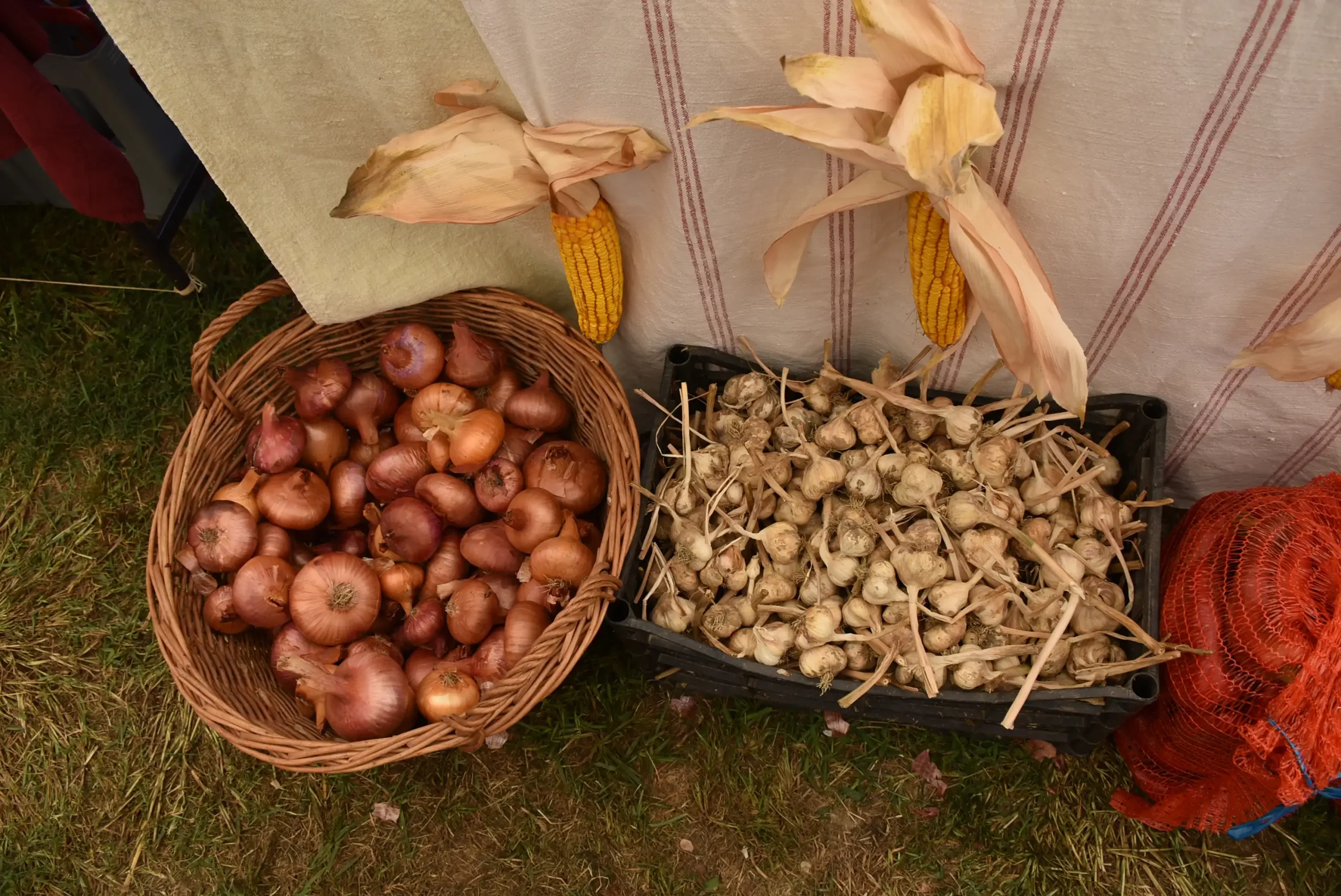 Dani dobravskog Luka 2024. (25) Dani dobravskog Luka 2024. (25)