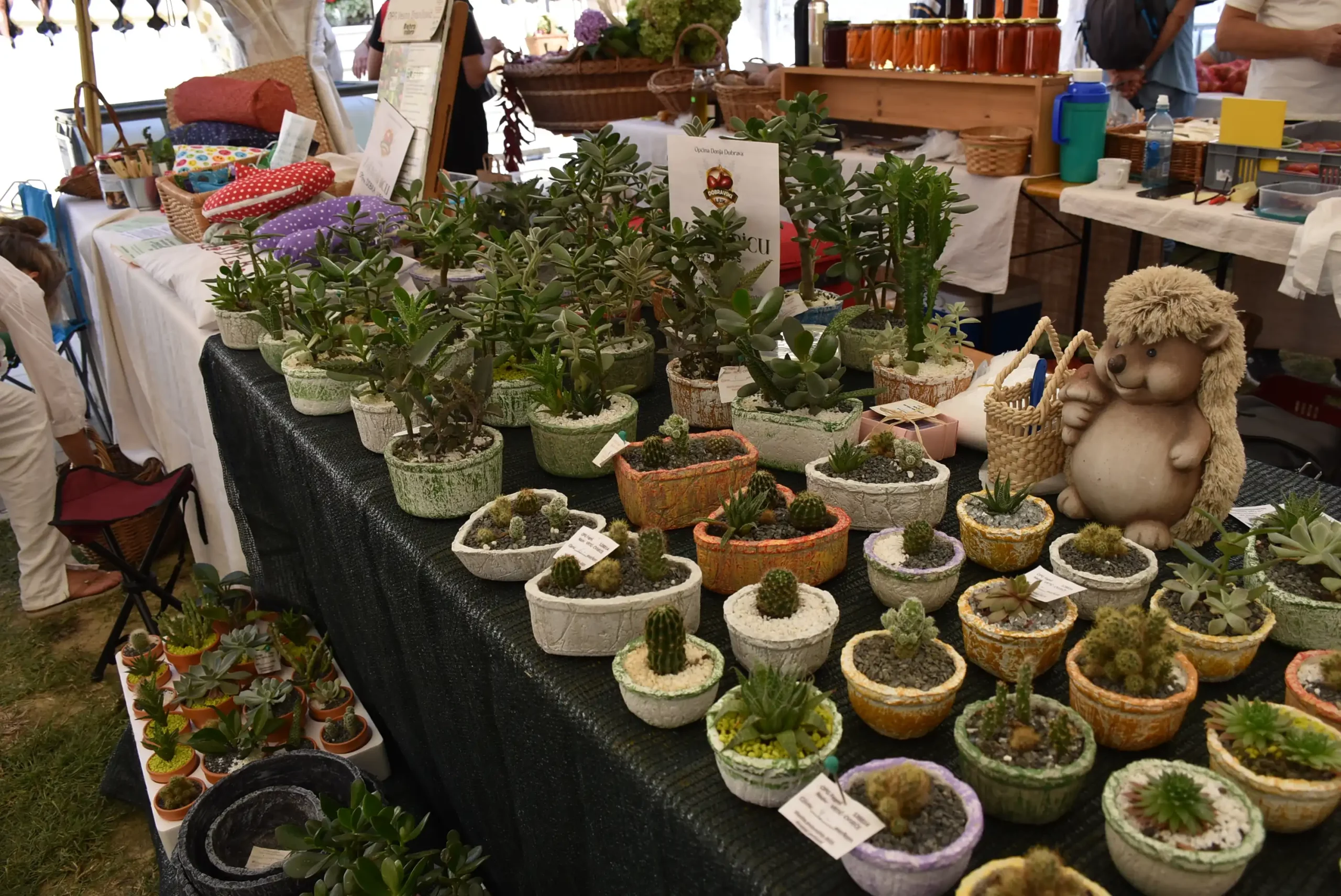 Dani dobravskog Luka 2024. (43) Dani dobravskog Luka 2024. (43)