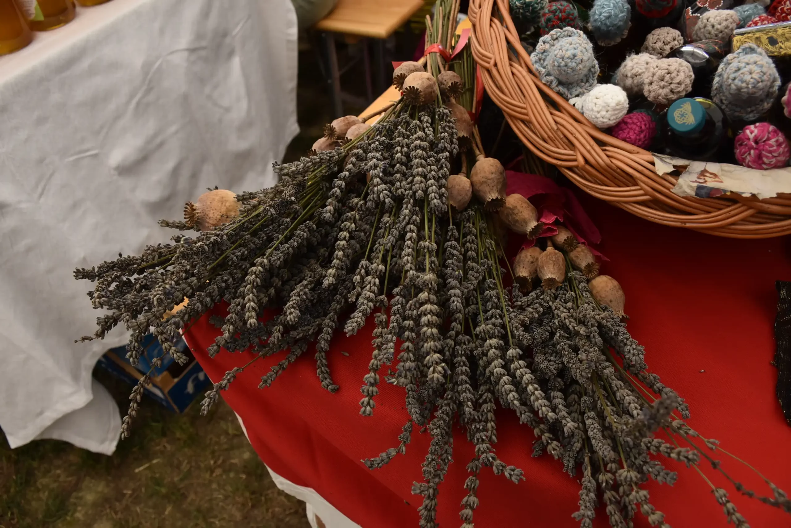 Dani dobravskog Luka 2024. (58) Dani dobravskog Luka 2024. (58)