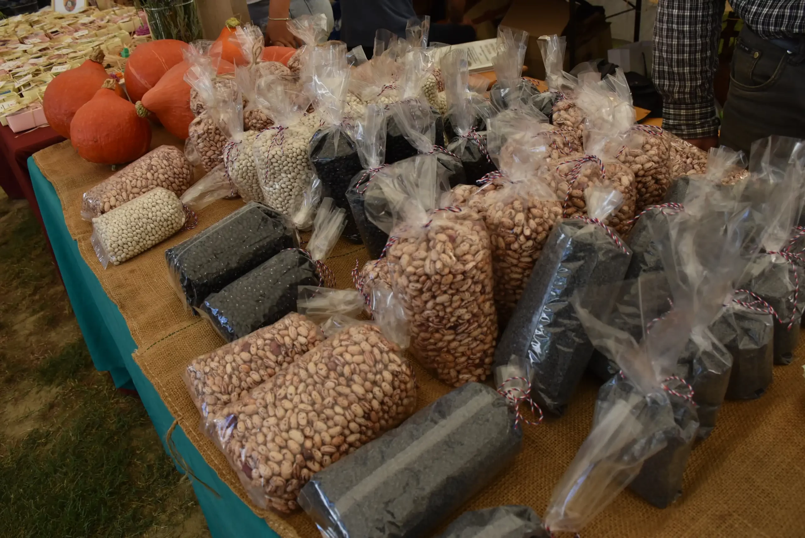 Dani dobravskog Luka 2024. (62) Dani dobravskog Luka 2024. (62)