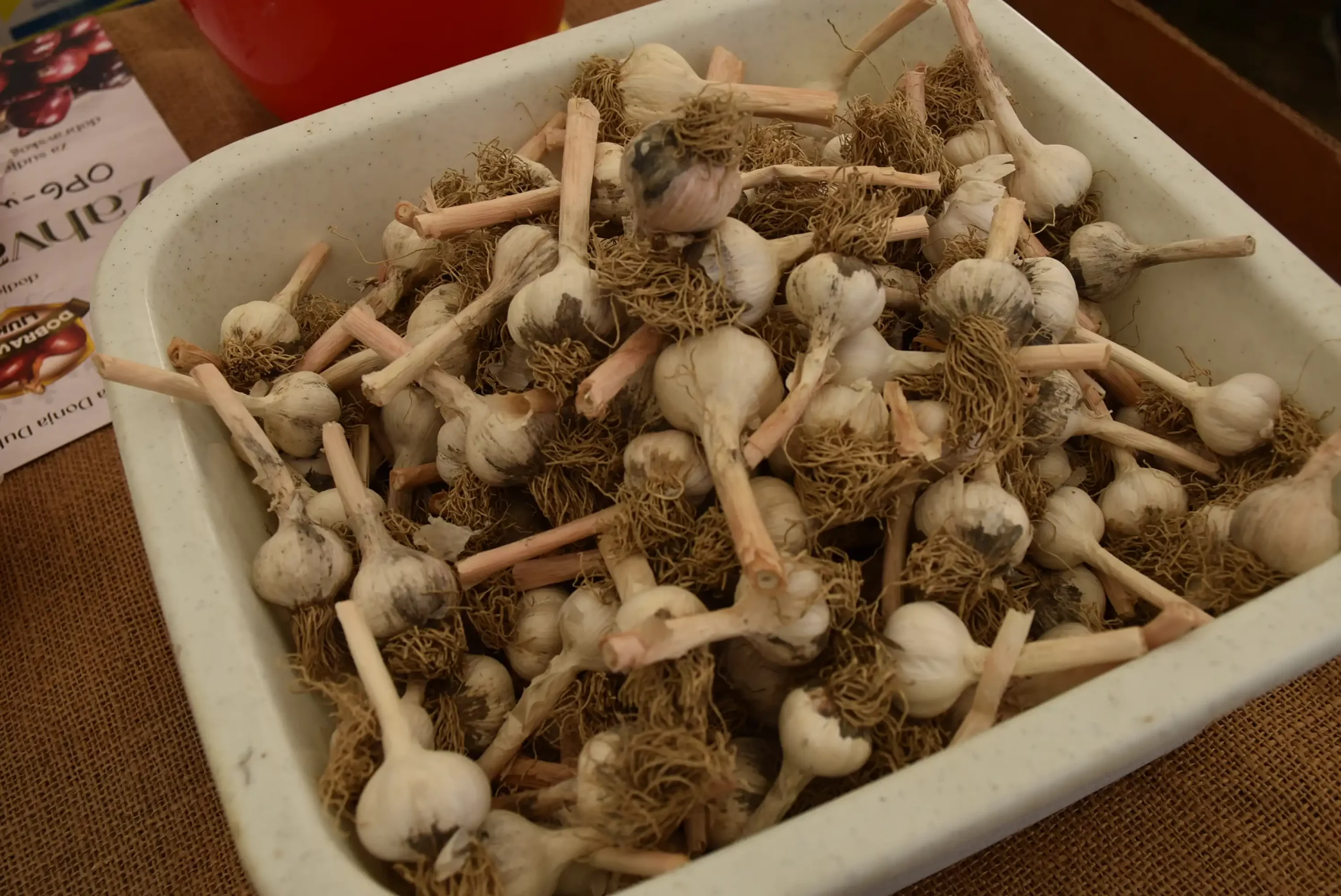 Dani dobravskog Luka 2024. (63) Dani dobravskog Luka 2024. (63)