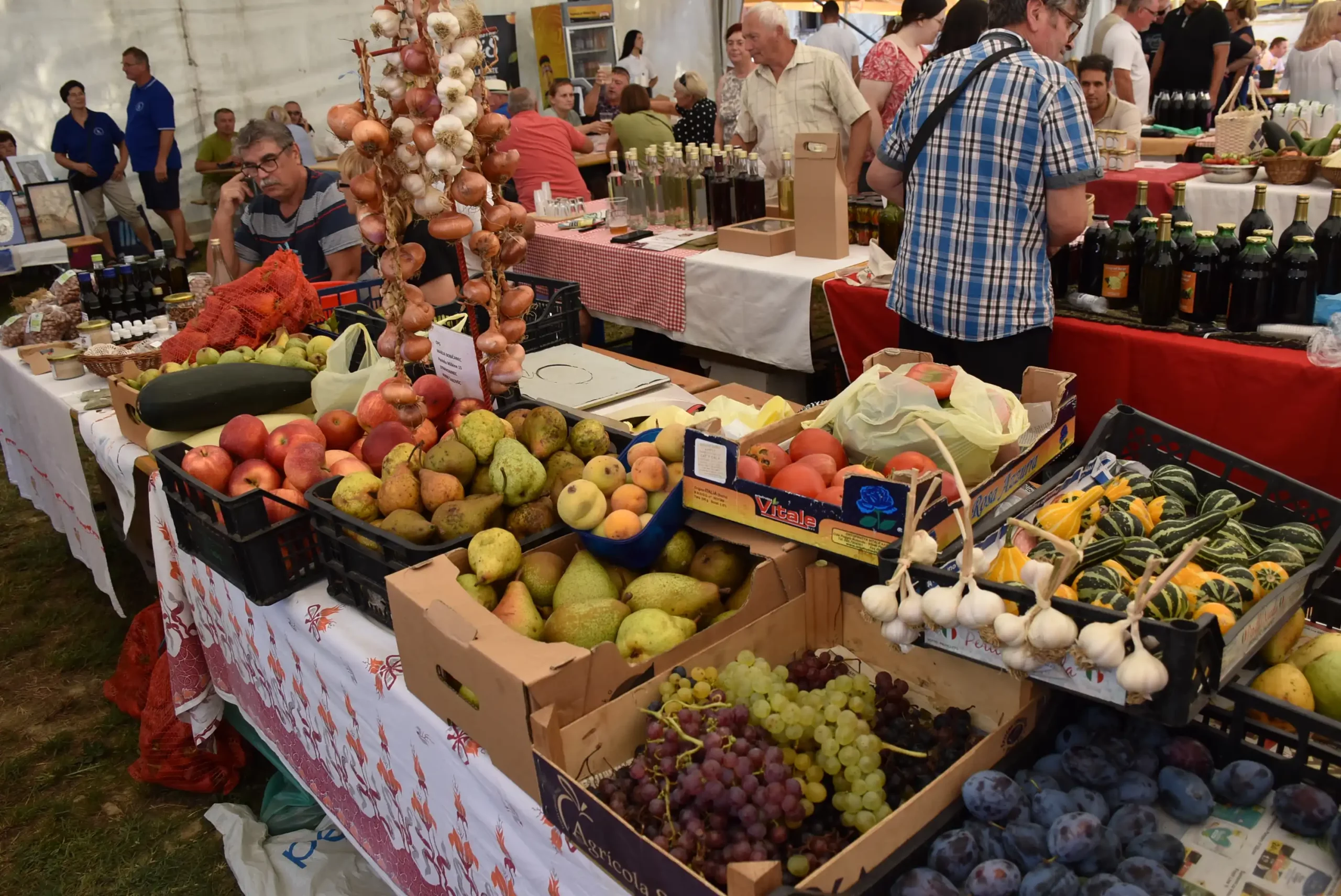 Dani dobravskog Luka 2024. (68) Dani dobravskog Luka 2024. (68)