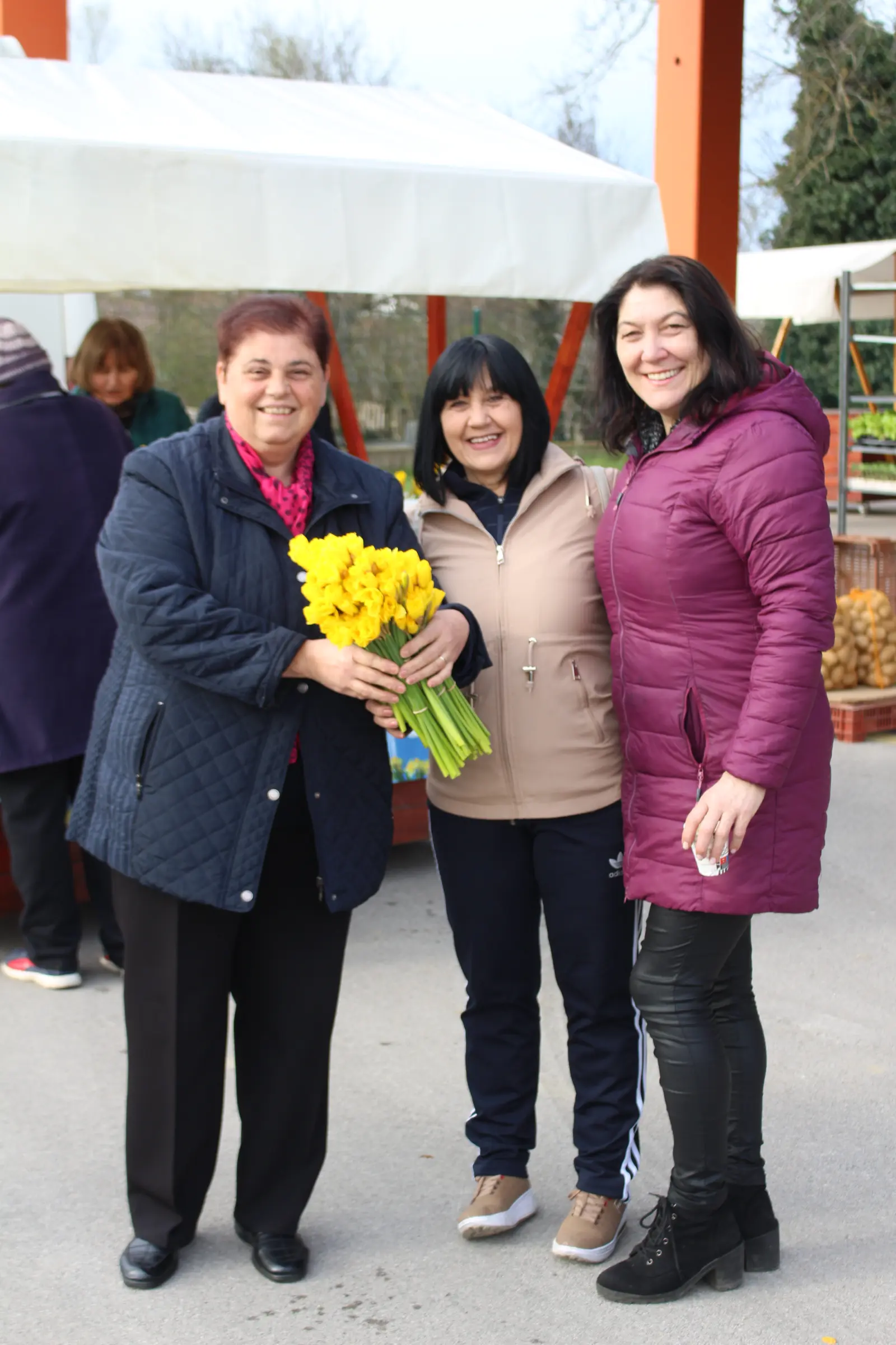 Dani narcisa, Kotoriba 2025, KM Photographx (1)