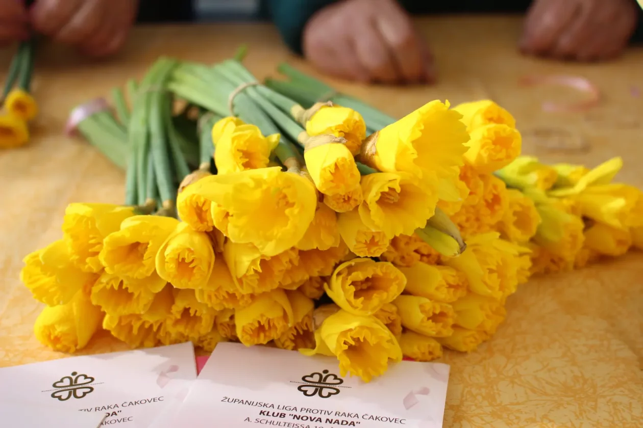 Dani narcisa, Kotoriba 2025, KM Photographx (3) Dani narcisa, Kotoriba 2025, KM Photographx (3)