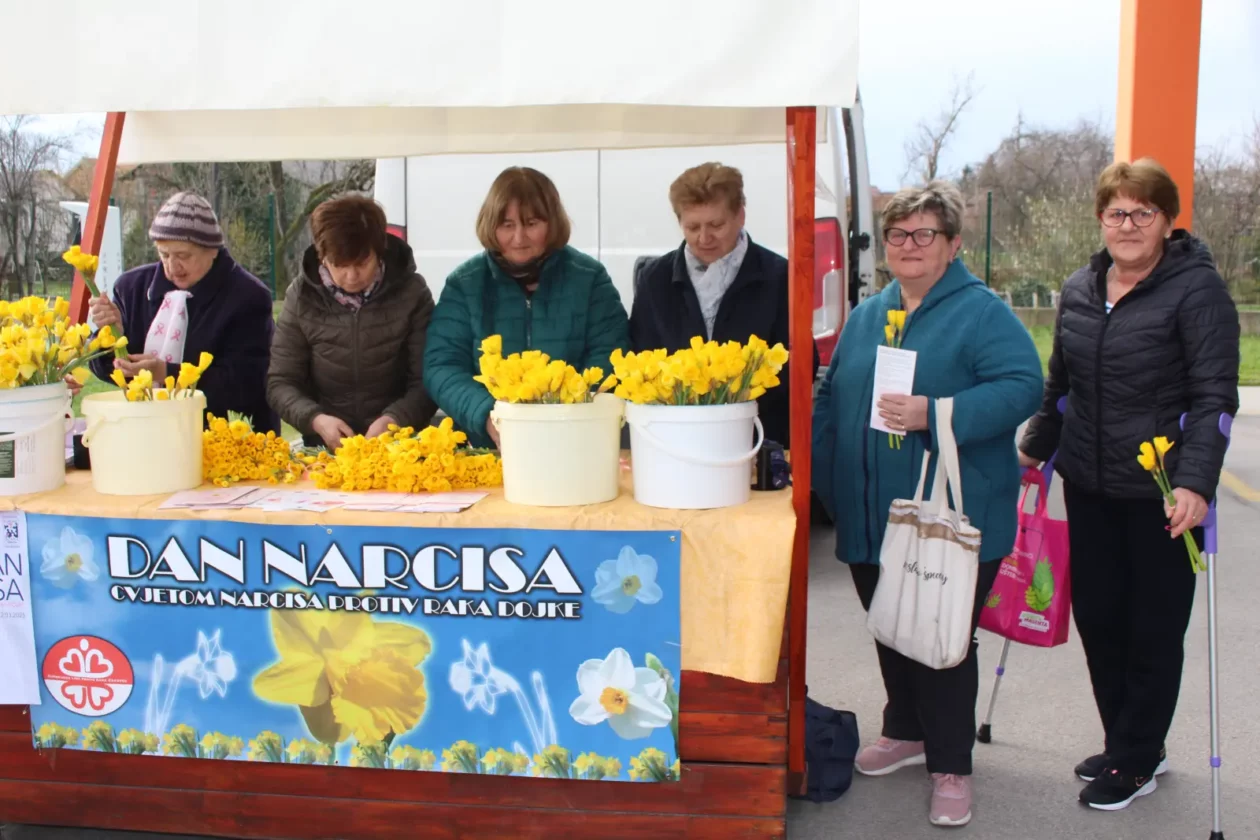 Dani narcisa, Kotoriba 2025, KM Photographx (6) Dani narcisa, Kotoriba 2025, KM Photographx (5)