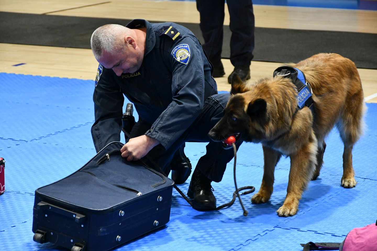 Dani otvorenih vrata PU međimuske 2025 Sajam prevencije (75)