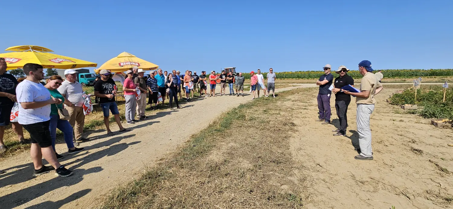 Dani polja, obitelj Filipović 2024 (1)