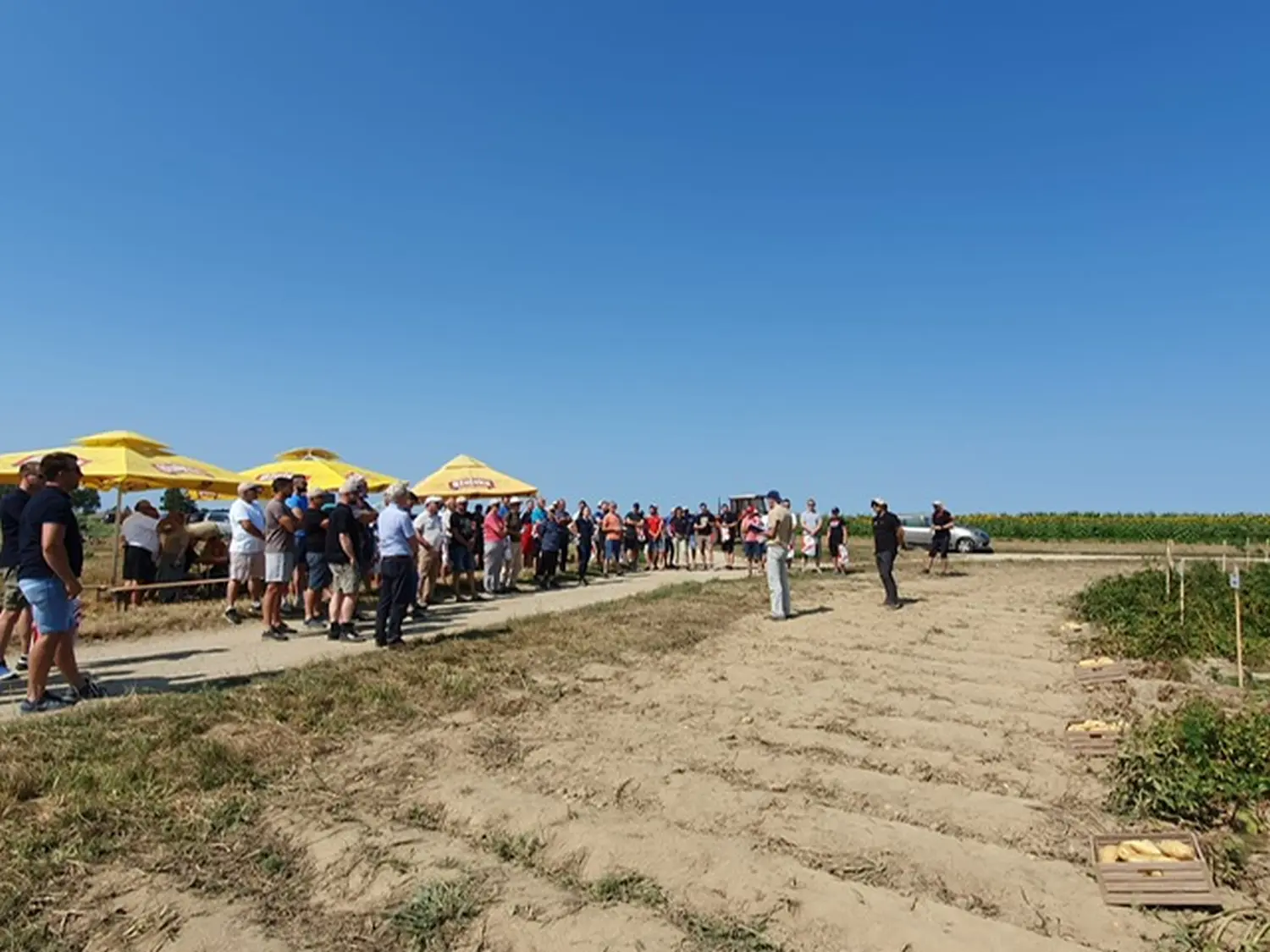 Dani polja, obitelj Filipović 2024 (7)