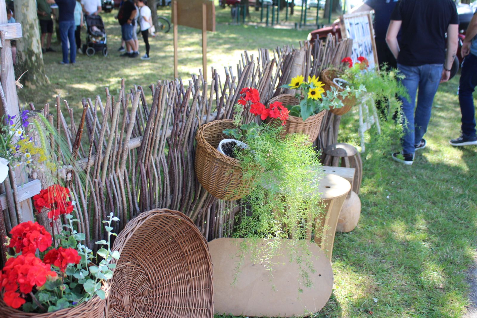 Dani šibe i ribe 0106 20