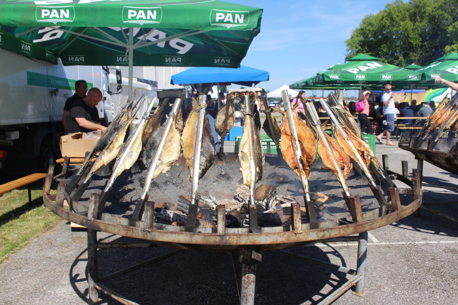 Dani šibe i ribe 0106 23