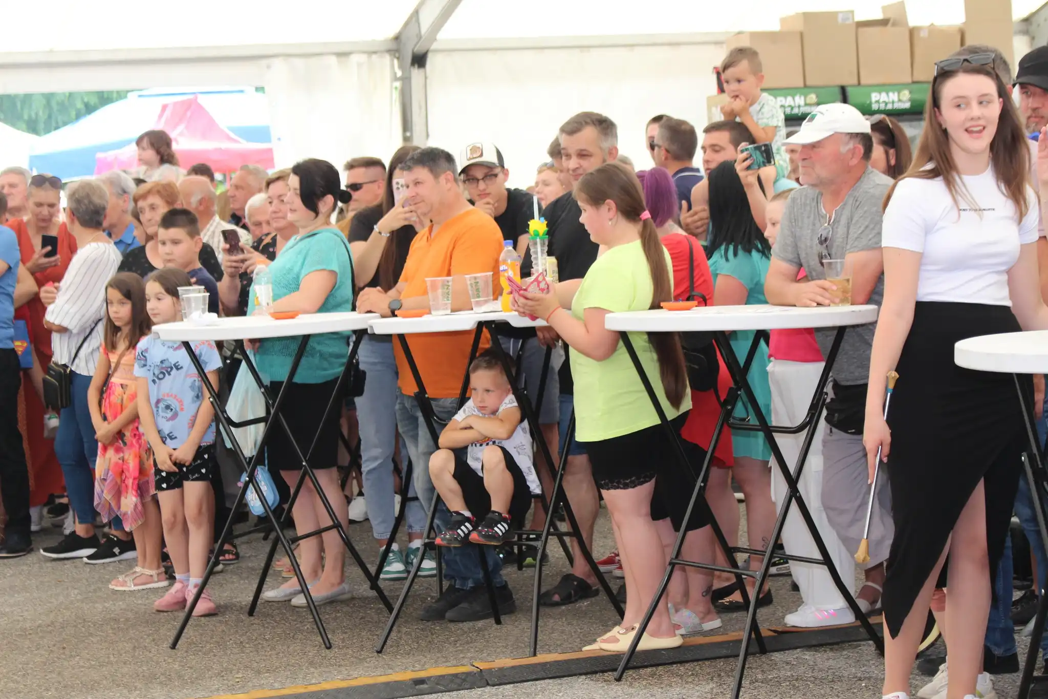 Dani šibe i ribe (15) Dani šibe i ribe (15)