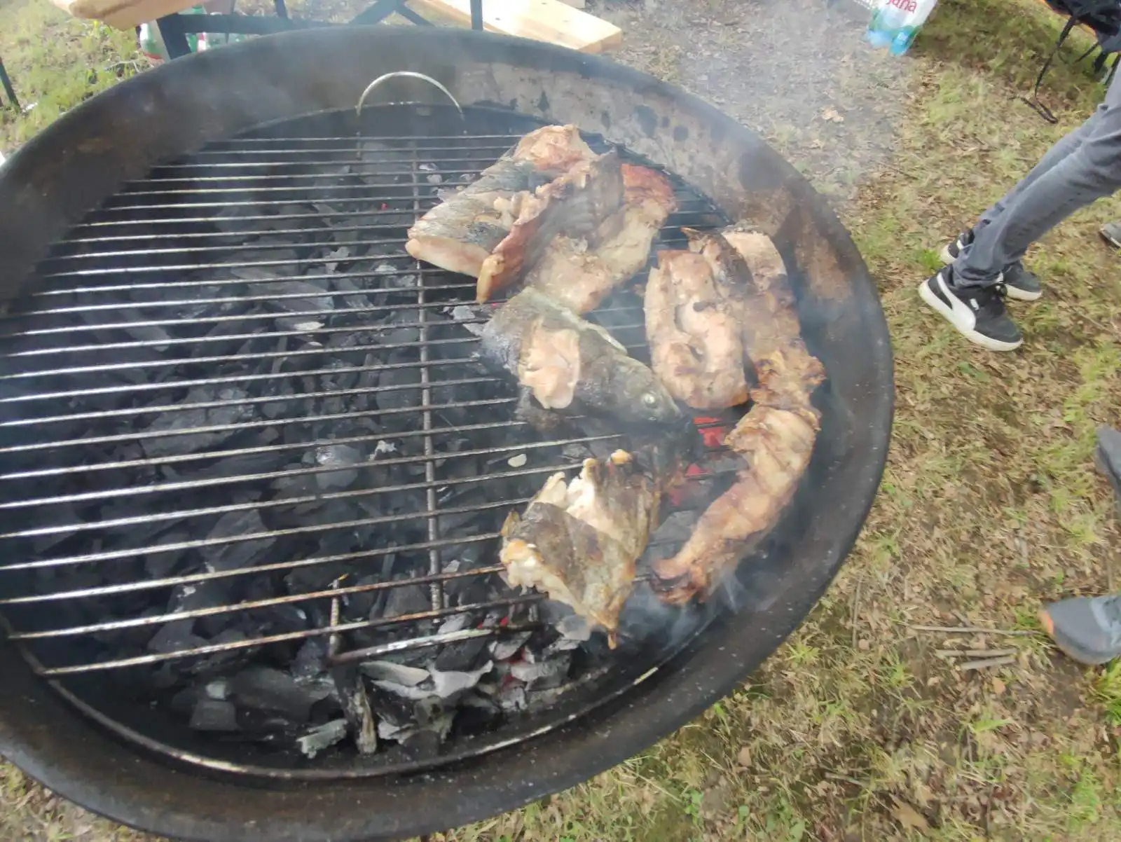 Dani šibe i ribe (25) Dani šibe i ribe (25)