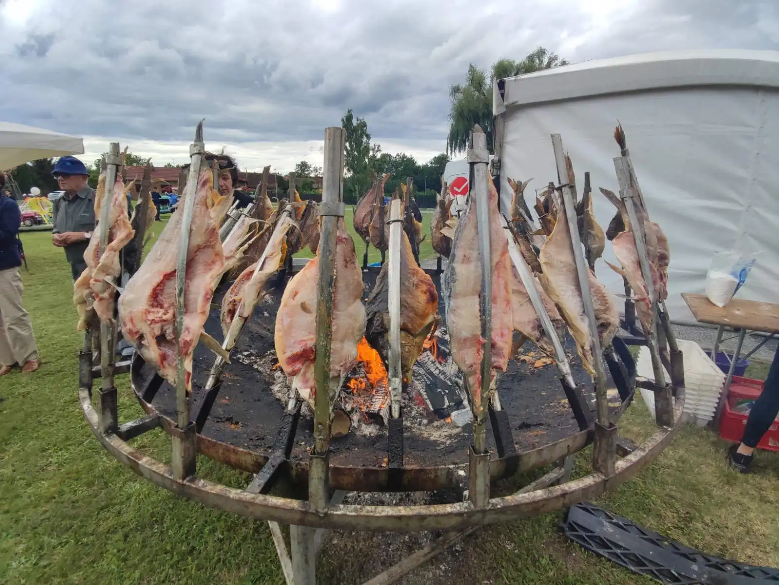 Dani šibe i ribe (3) Dani šibe i ribe (3)