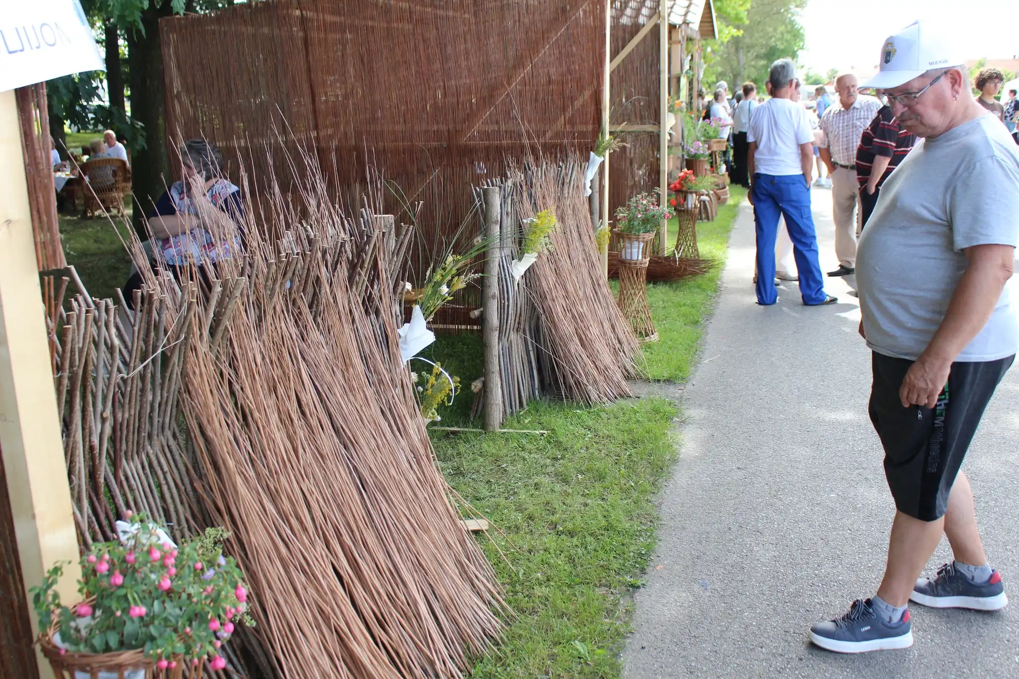 Dani šibe i ribe (36) Dani šibe i ribe (36)