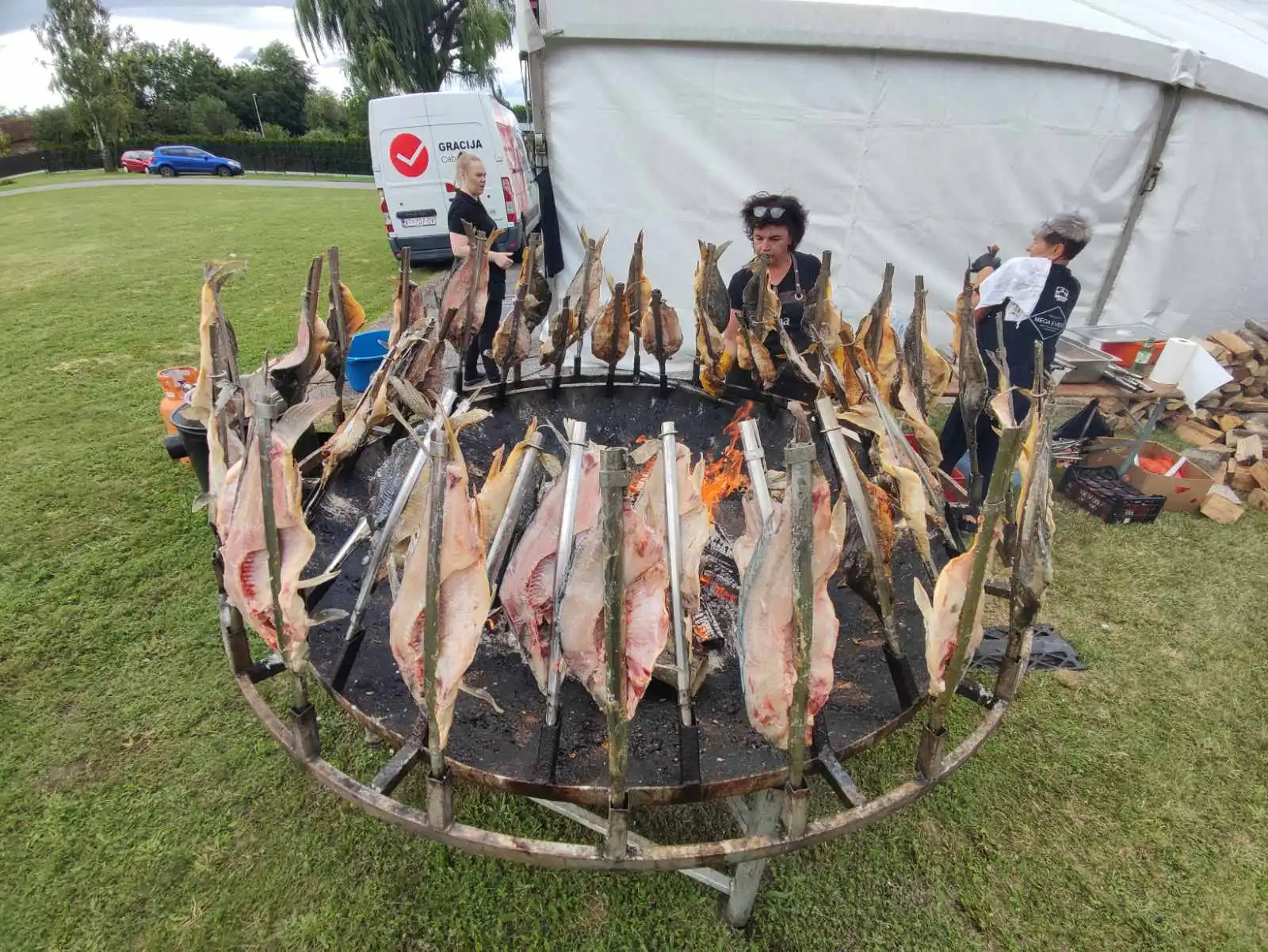 Dani šibe i ribe (4) Dani šibe i ribe (4)