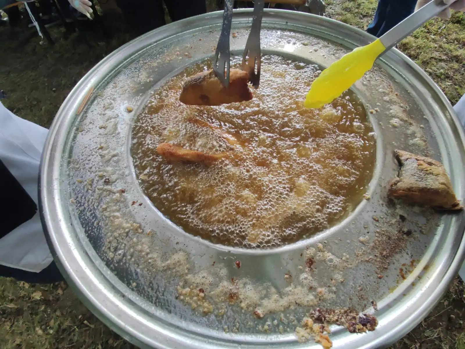 Dani šibe i ribe (42) Dani šibe i ribe (42)