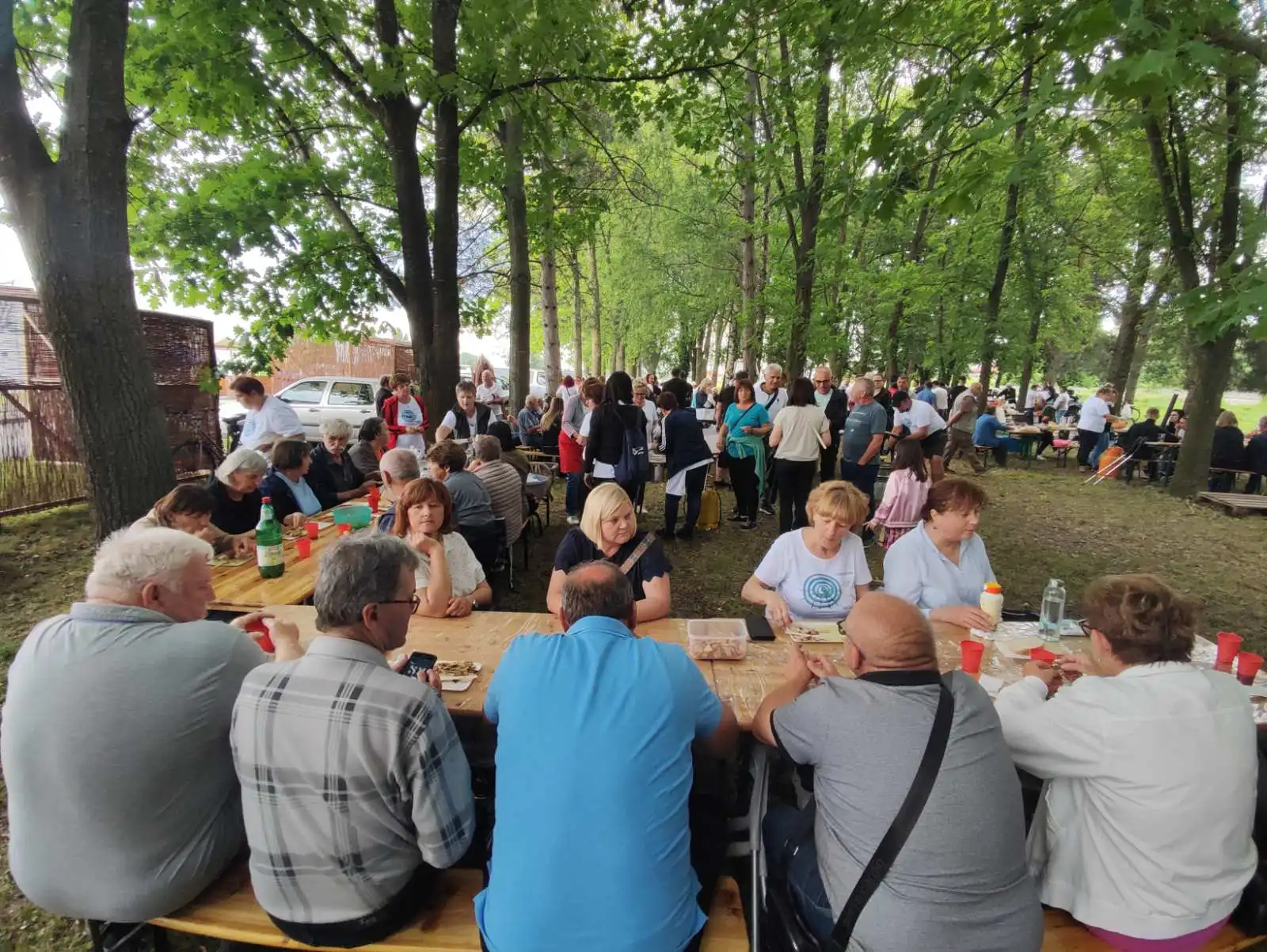 Dani šibe i ribe (8) Dani šibe i ribe (8)