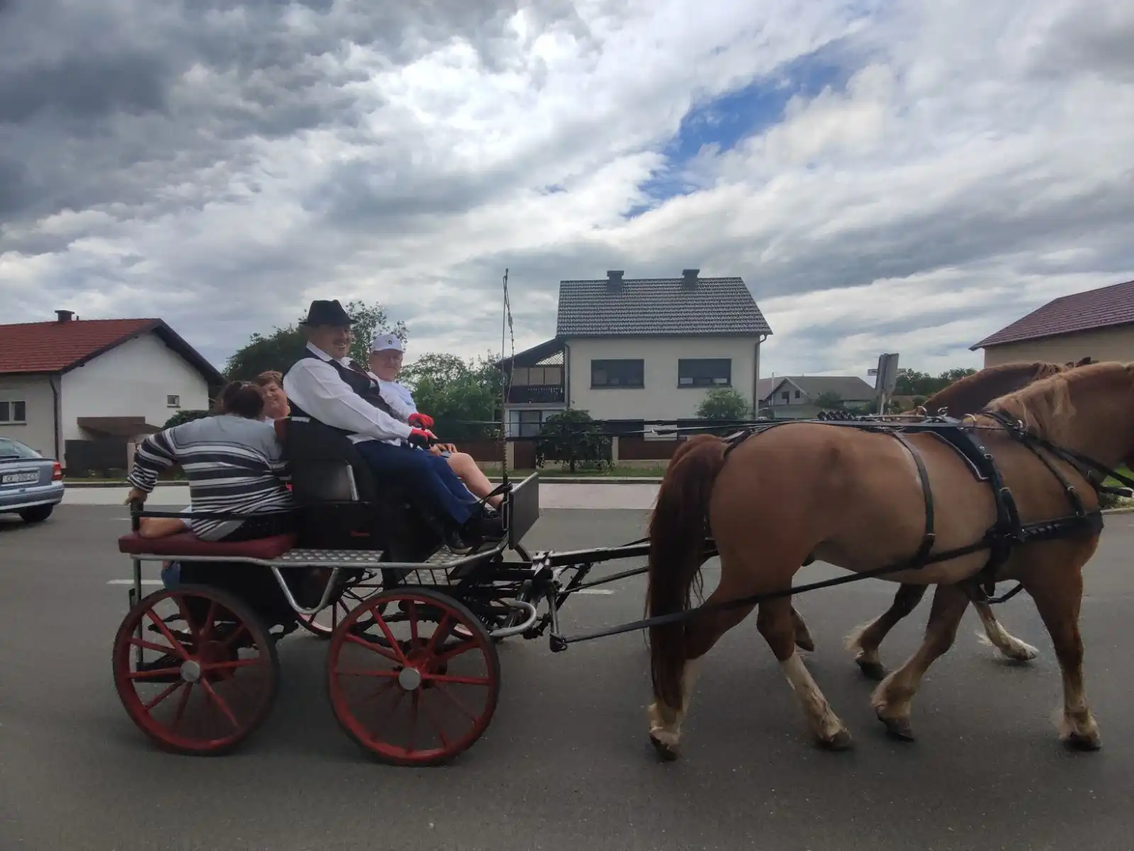 Dani šibe i ribe – kočija međimurski konj (2) Dani šibe i ribe – kočija međimurski konj (2)