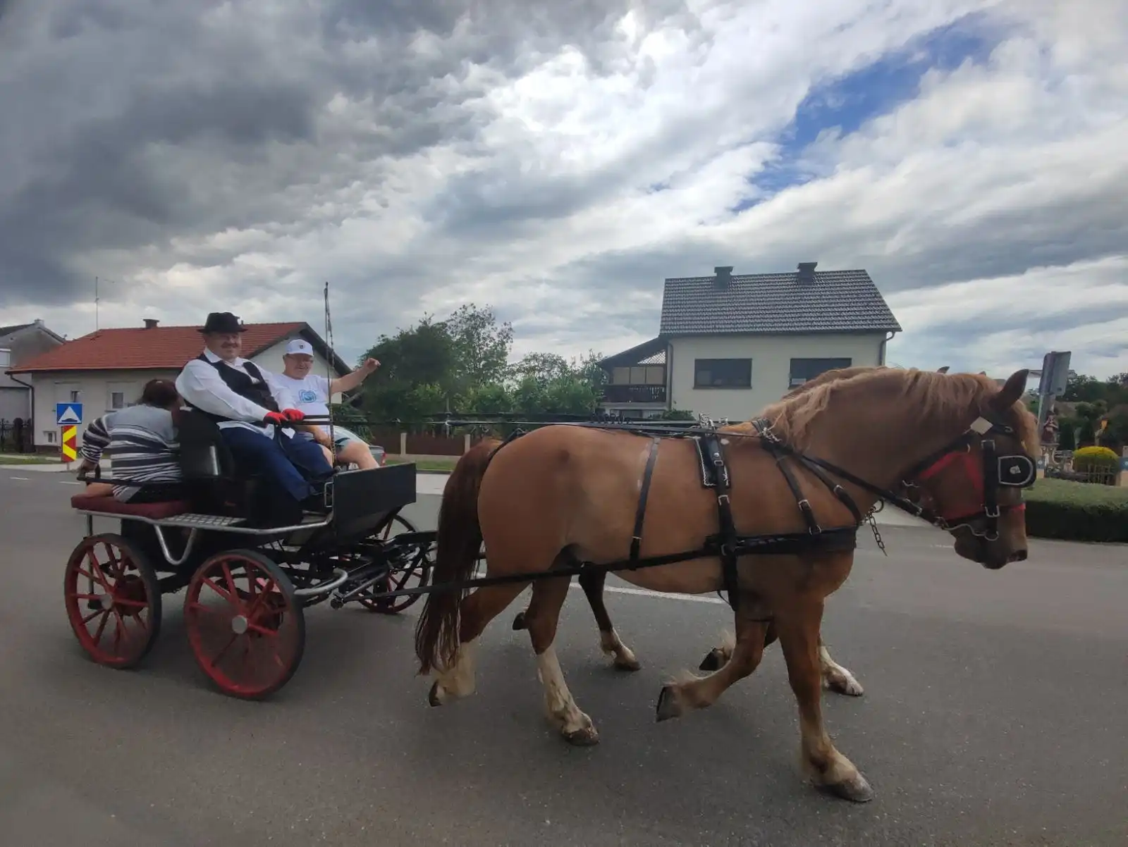 Dani šibe i ribe – kočija međimurski konj (3) Dani šibe i ribe – kočija međimurski konj (3)