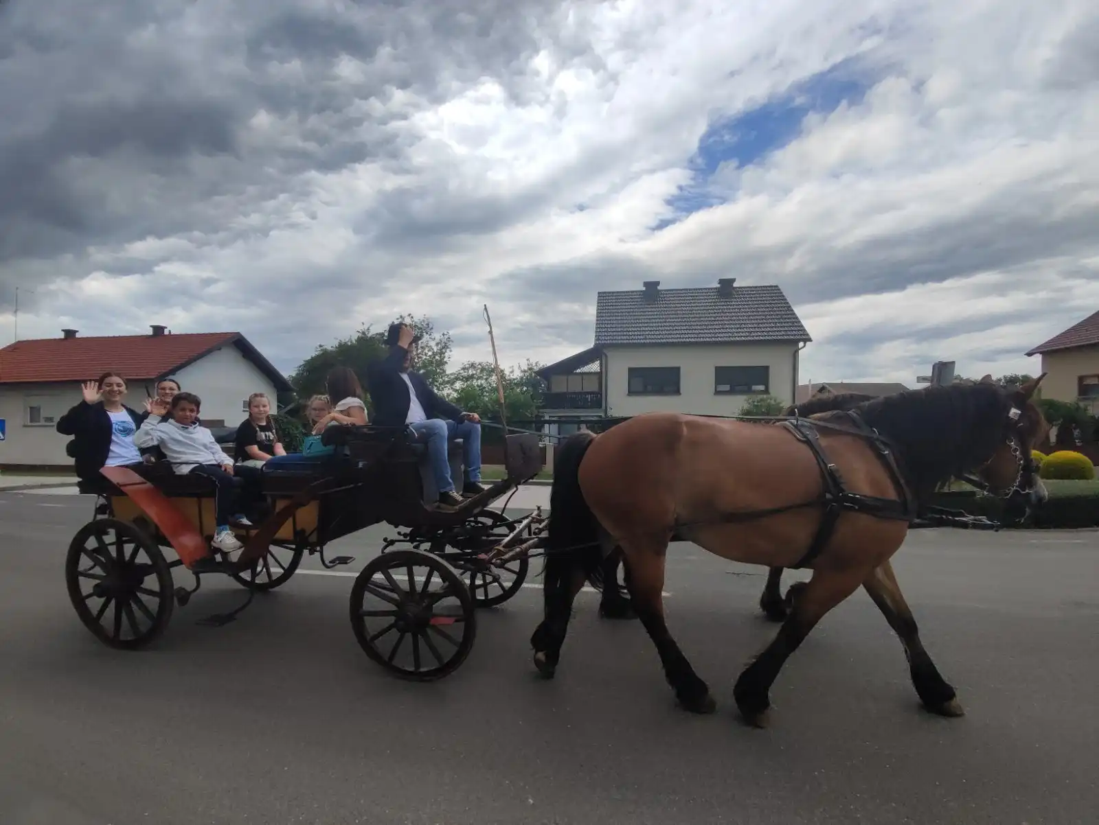 Dani šibe i ribe – kočija međimurski konj (6) Dani šibe i ribe – kočija međimurski konj (6)