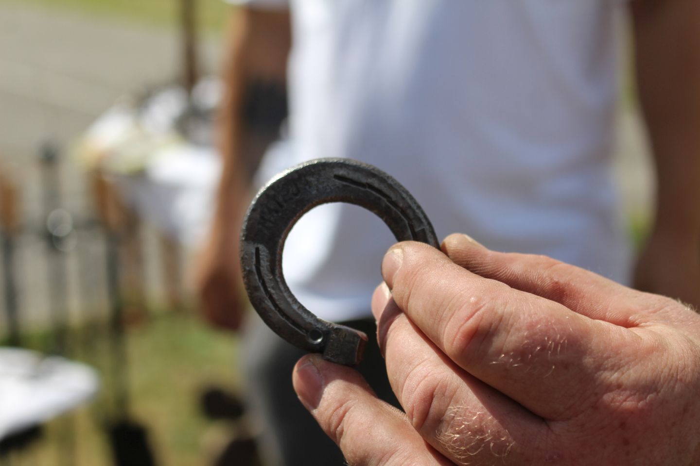 Dani šibe i ribe kotoriba 2025 (13)