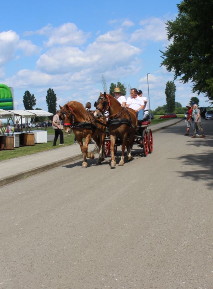 Dani šibe i ribe kotoriba 2025 (15)