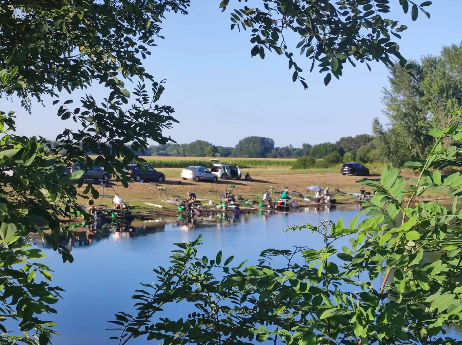 Dani soma (1) Dani soma (1)