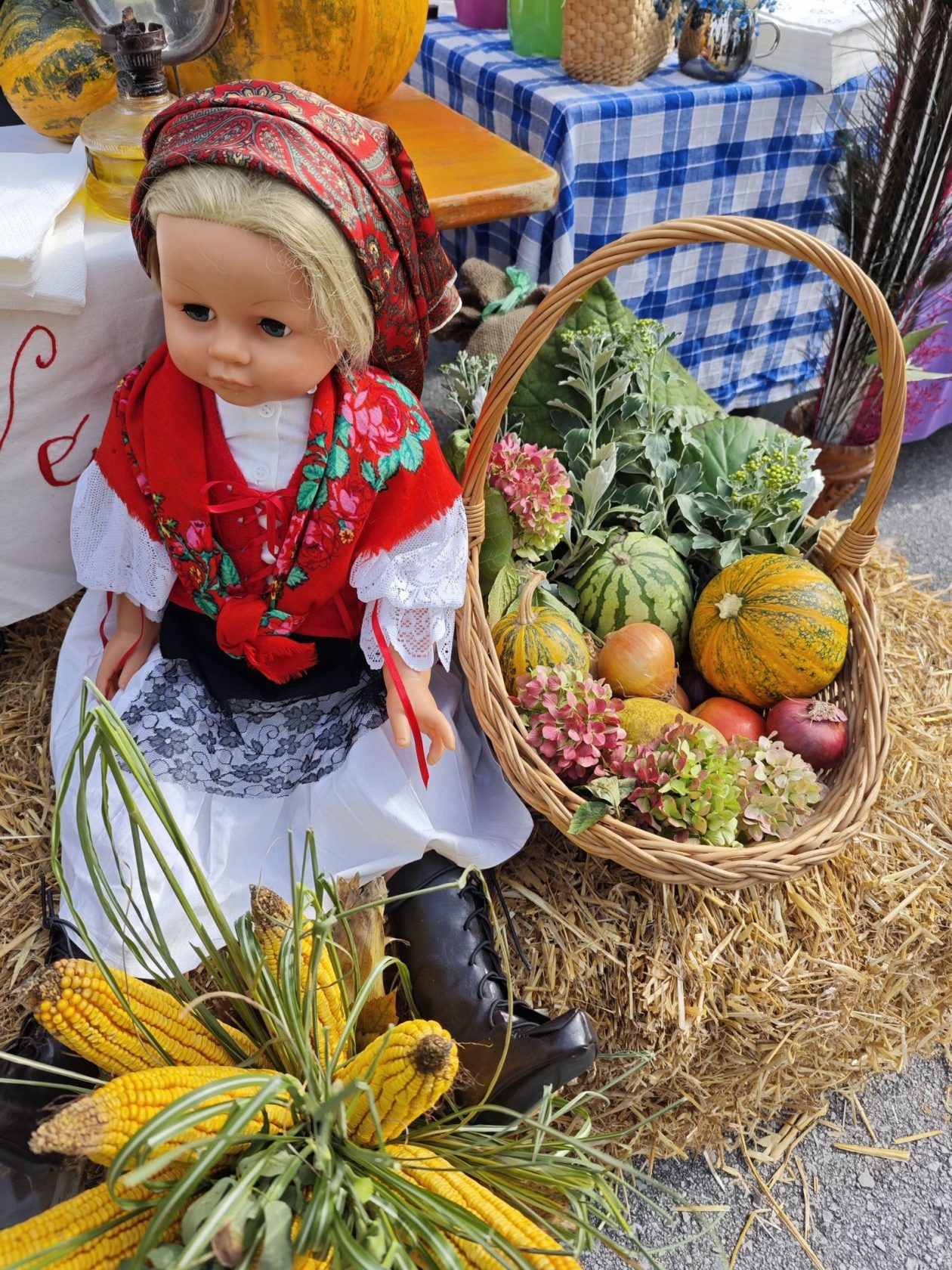 Dani zahvale Strahoninec 28