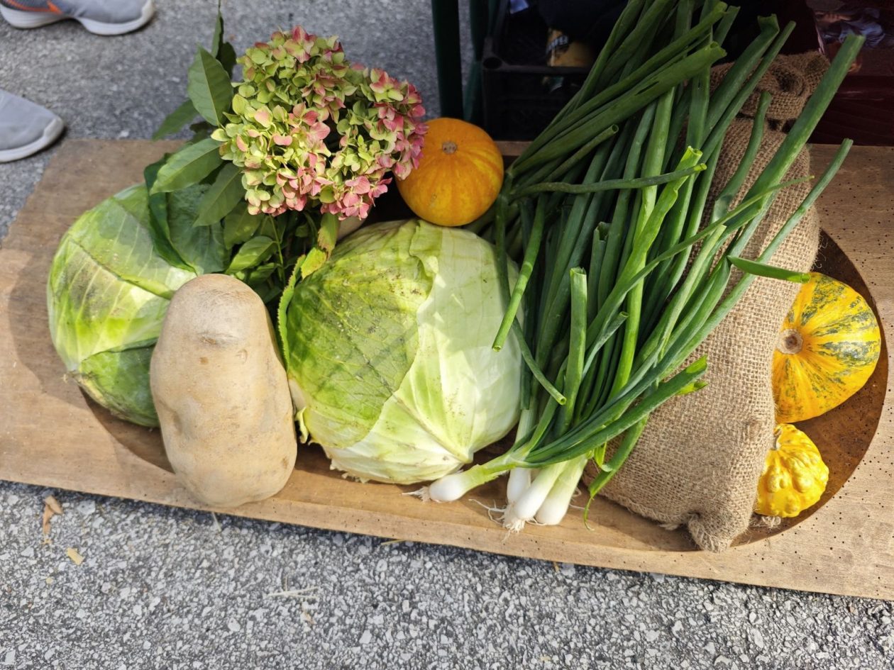 Dani zahvale Strahoninec 29